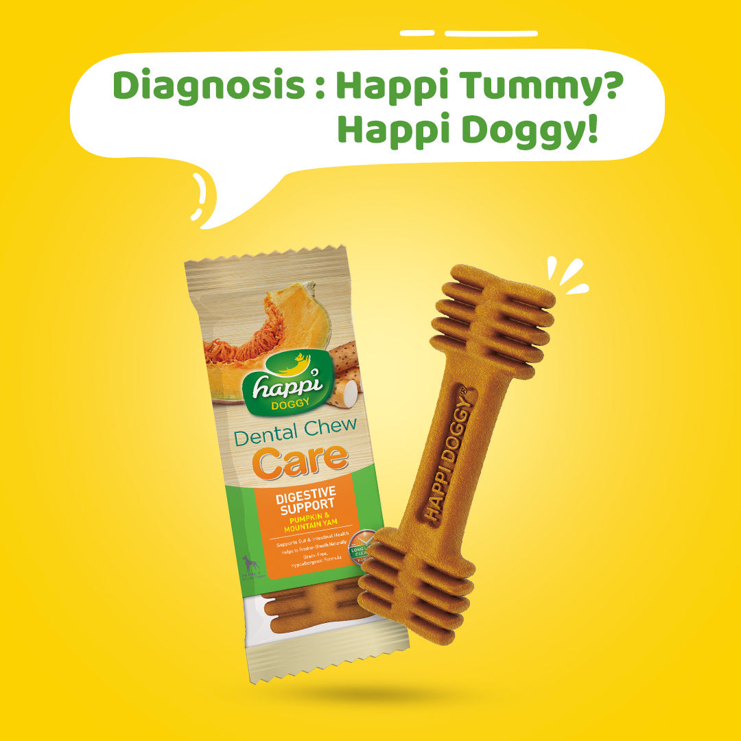 Happi Doggy Vegetarian Dental Chew - Care (Digestive Support) - Pumpkin & Mountain Yam - 4 inch 150 g - 6 Pieces-3