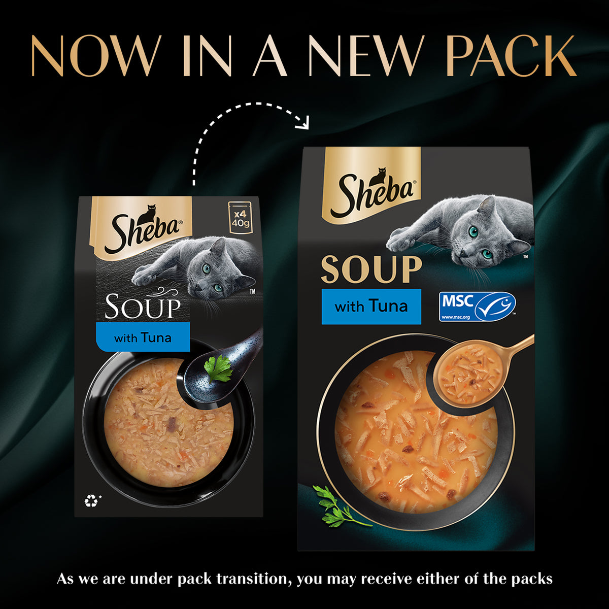 Sheba Soup With Tuna Wet Food For Cat - 40 gm x 4 pcs