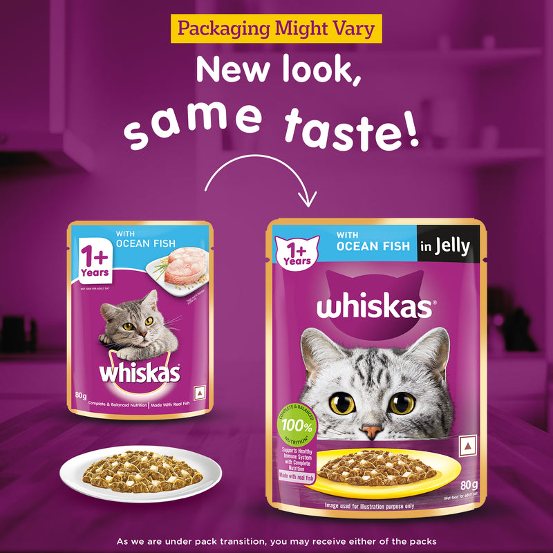 Whiskas Ocean Fish Wet Food For Adult Cat - 80 gm Pack - Heads Up For Tails