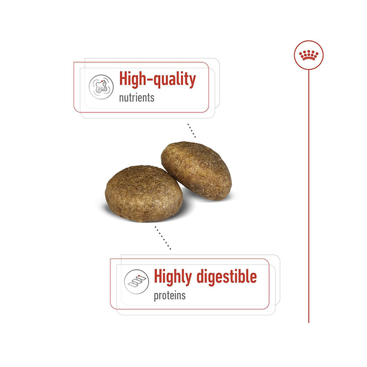 Royal Canin Maxi Adult Dry Dog Food - Heads Up For Tails