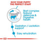 Royal Canin Giant Starter Dry Dog Food