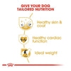 Royal Canin Golden Retriever Puppy Dry Dog Food - Heads Up For Tails