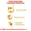 Royal Canin Poodle Dry Food For Adult Dog - 1.5 kg - Heads Up For Tails