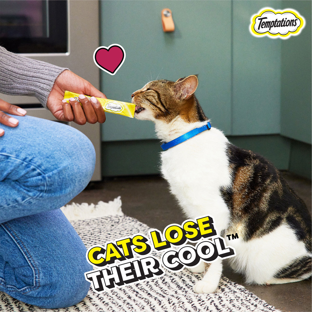 Temptations Creamy Purrrr-ee Cat Treats, Chicken & Tuna Flavour - 48 g (4 pieces) - Heads Up For Tails