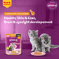 Whiskas Chicken With Salmon In Jelly Wet Food For Junior (2-12 Months) Kitten - 80 gm Pack