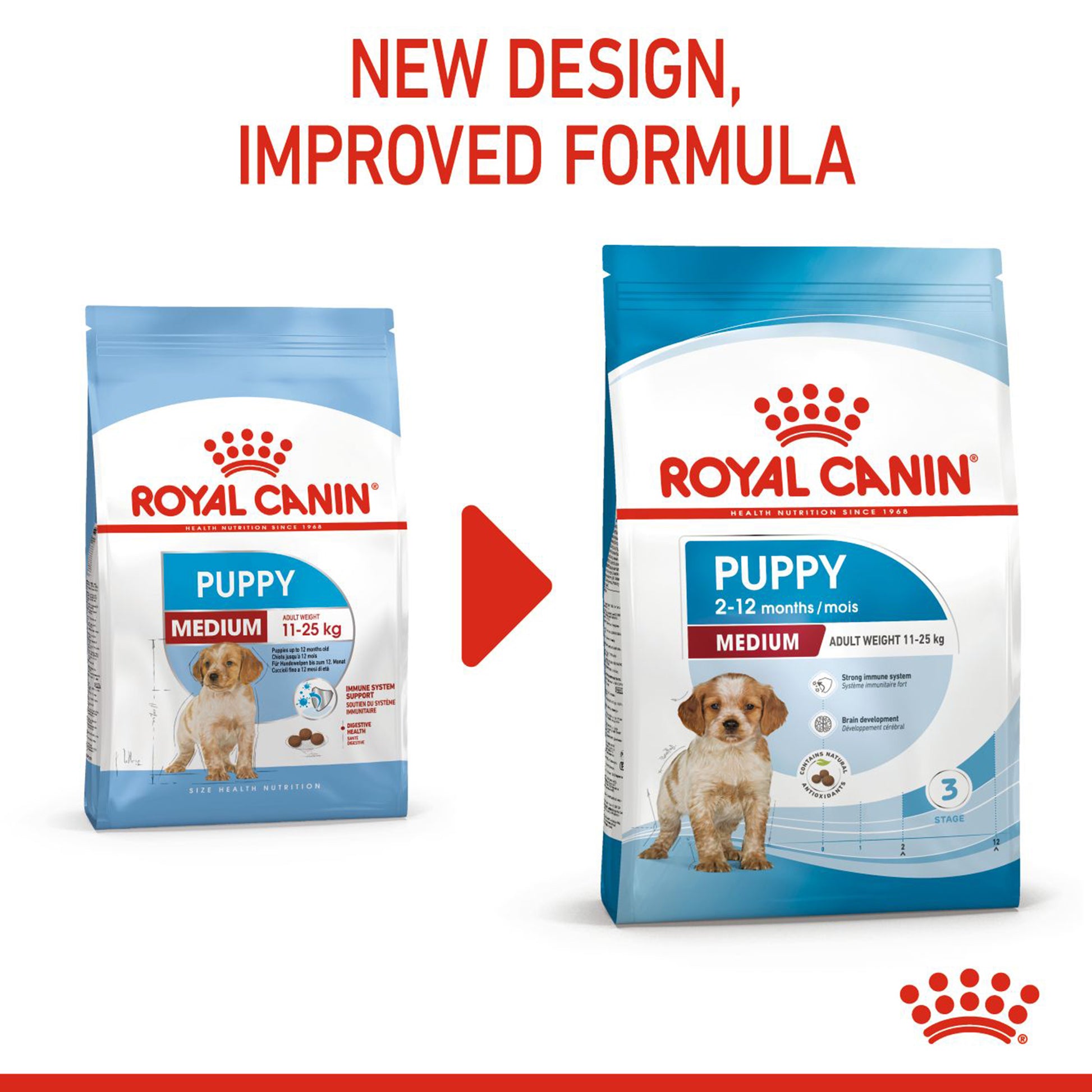 Royal Canin Medium Puppy Dry Dog Food1