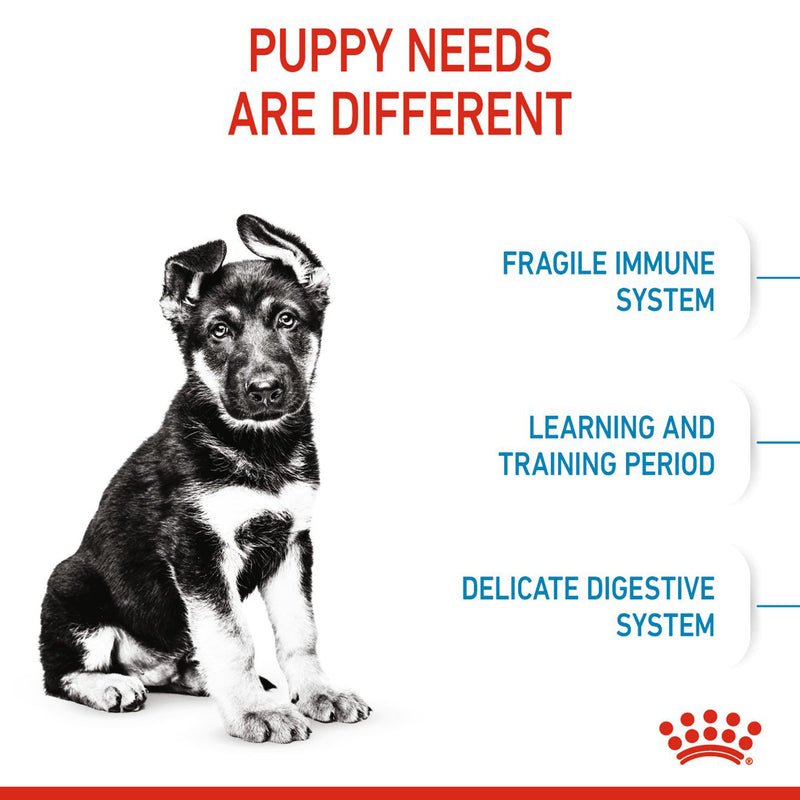 Royal Canin Maxi Puppy Dry Dog Food - Heads Up For Tails