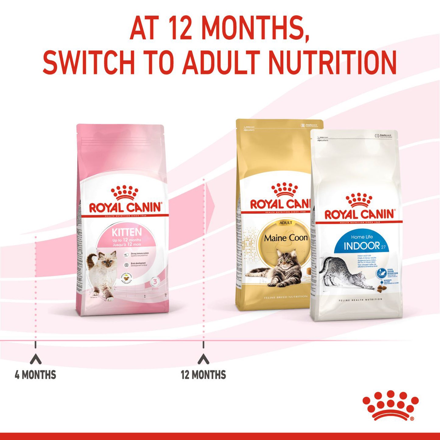 Royal Canin Kitten Dry Cat Food - Heads Up For Tails