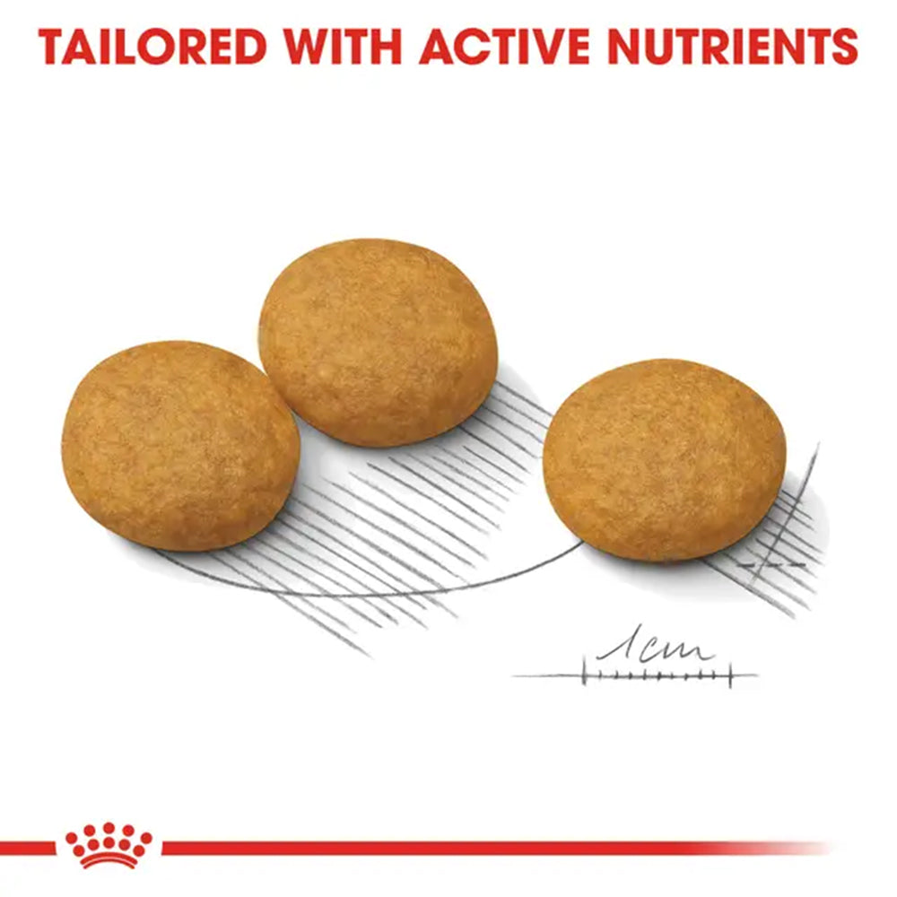 Royal Canin Medium Dermacomfort Dry Food For Dog - 3 kg