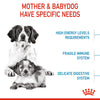 Royal Canin Medium Starter Dry Dog Food - Heads Up For Tails