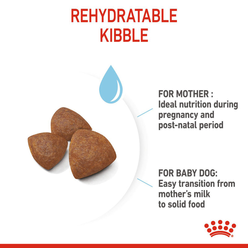 Royal Canin Medium Starter Dry Dog Food - Heads Up For Tails