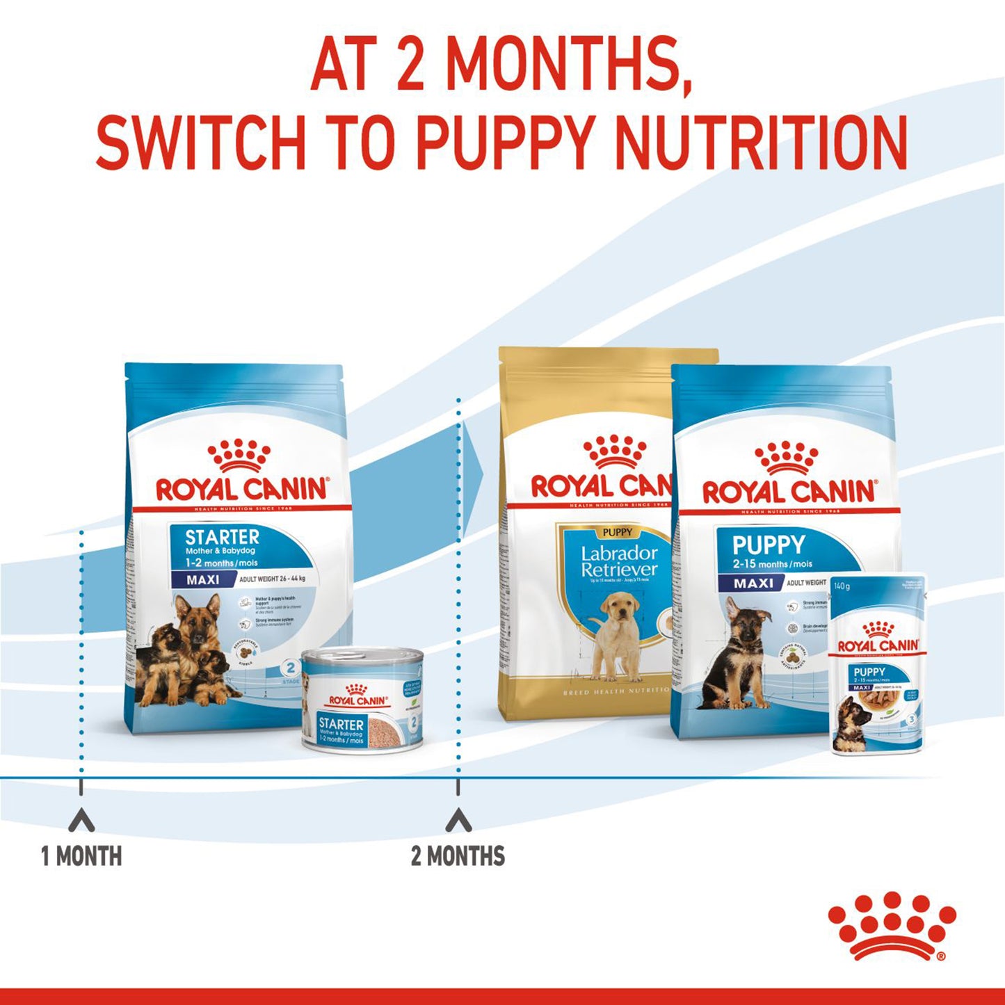Royal Canin Maxi Starter Dry Dog Food - Heads Up For Tails