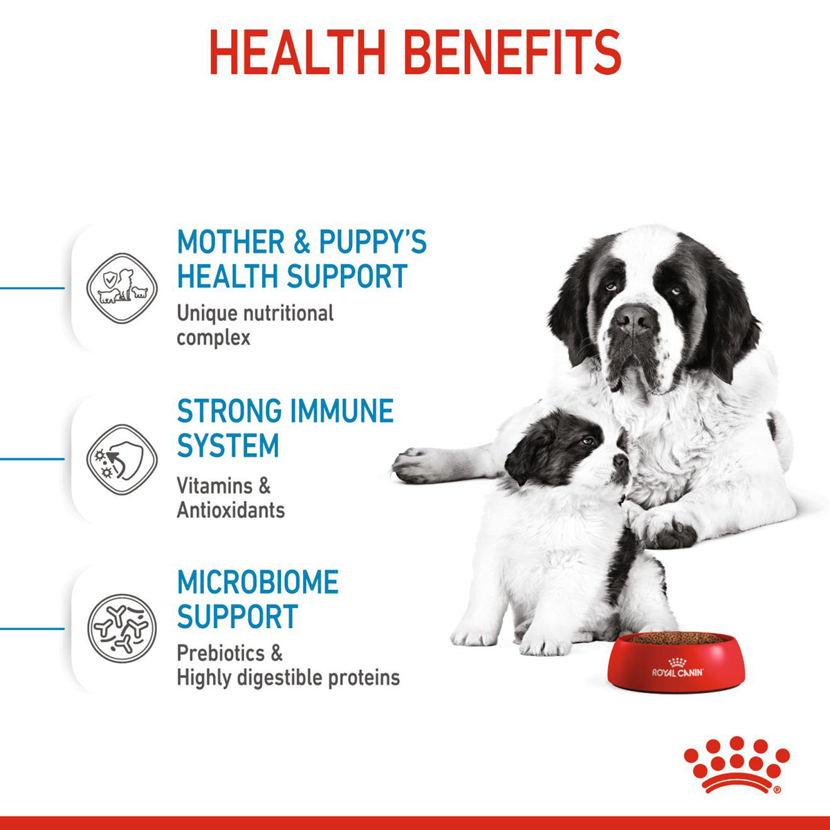 Royal Canin Giant Starter Dry Dog Food - Heads Up For Tails