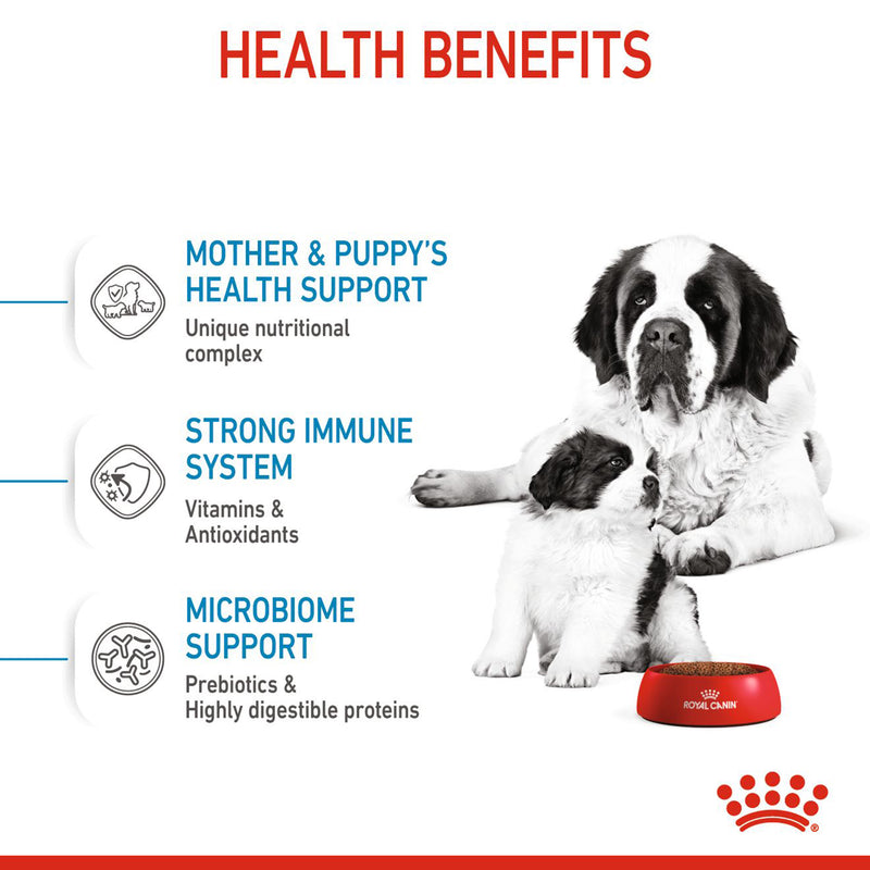 Royal Canin Giant Starter Dry Dog Food - Heads Up For Tails