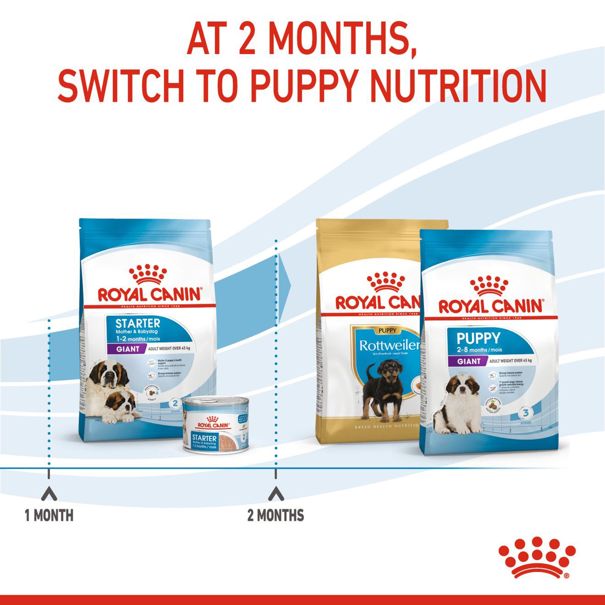 Royal Canin Giant Starter Dry Dog Food - Heads Up For Tails