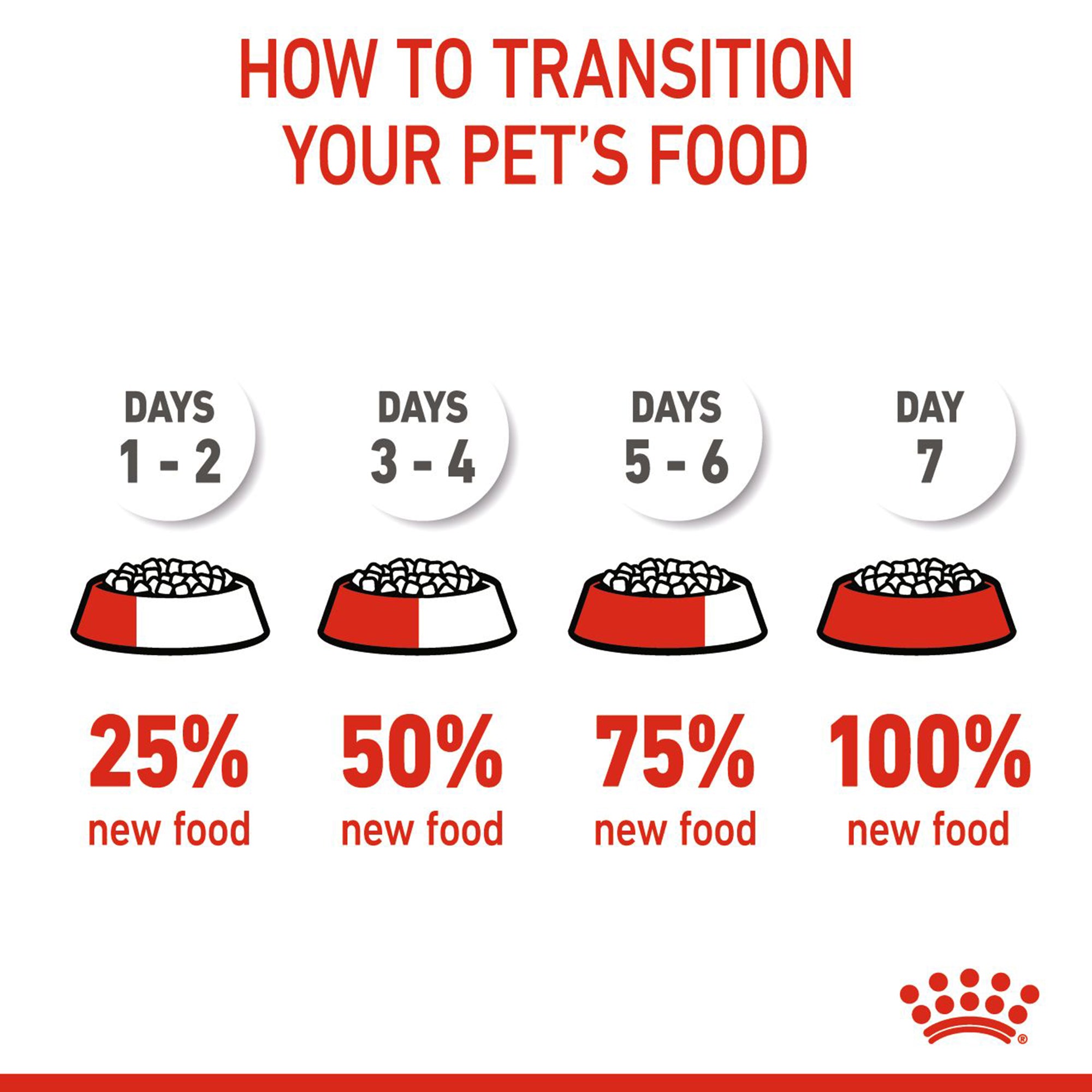 Switching from puppy discount food to dog food