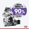 Royal Canin Care Appetite Control Dry Food For Cat - 400 gm - Heads Up For Tails