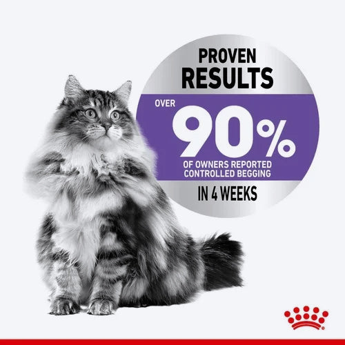 Royal Canin Care Appetite Control Dry Food For Cat - 400 gm - Heads Up For Tails