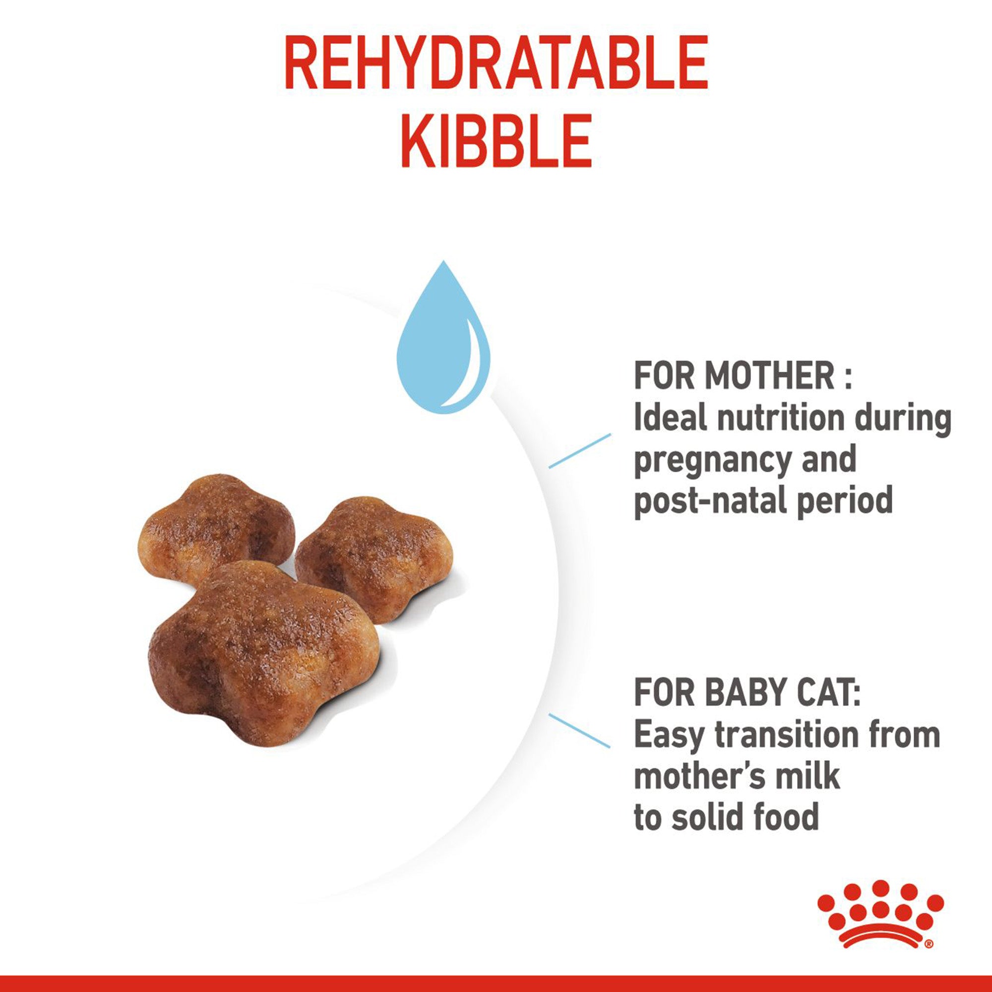 Baby 2025 cat kibble