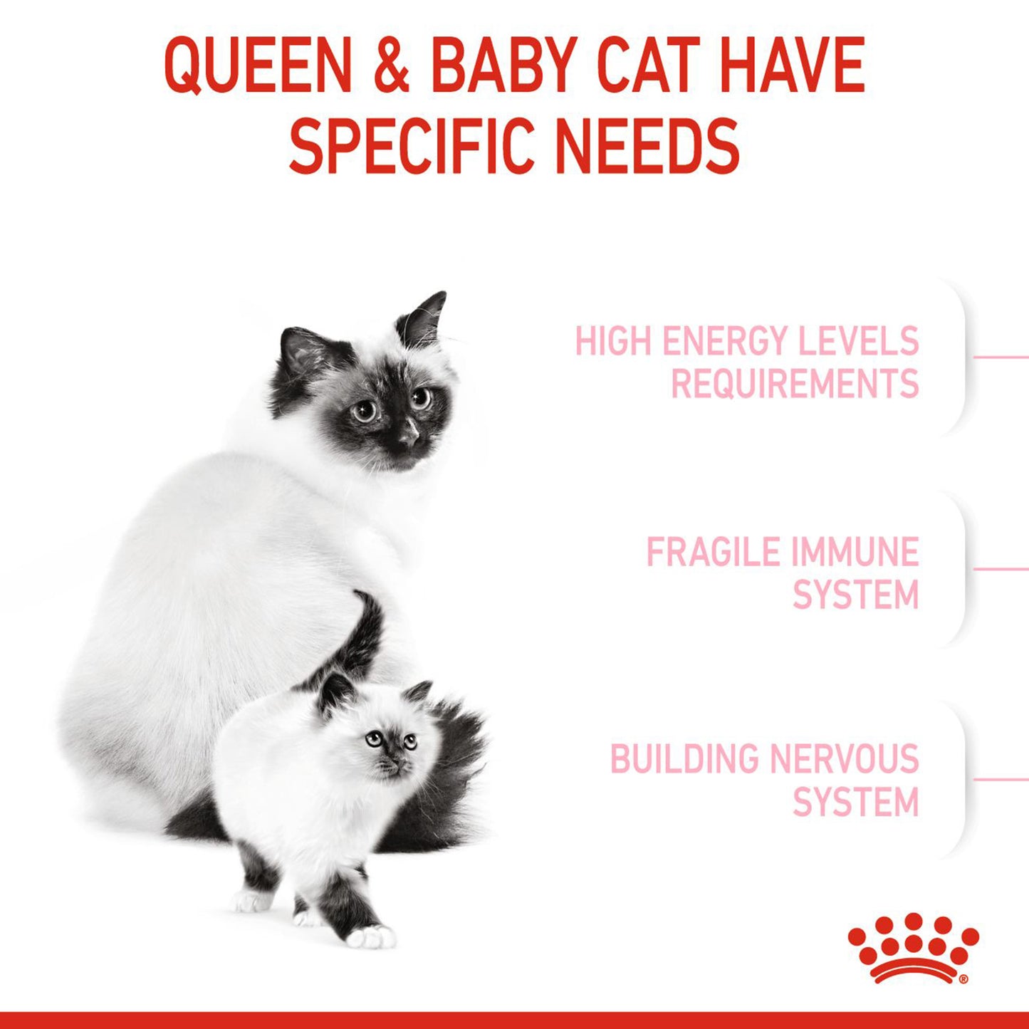 Royal Canin Mother And Babycat Dry Cat Food - Heads Up For Tails