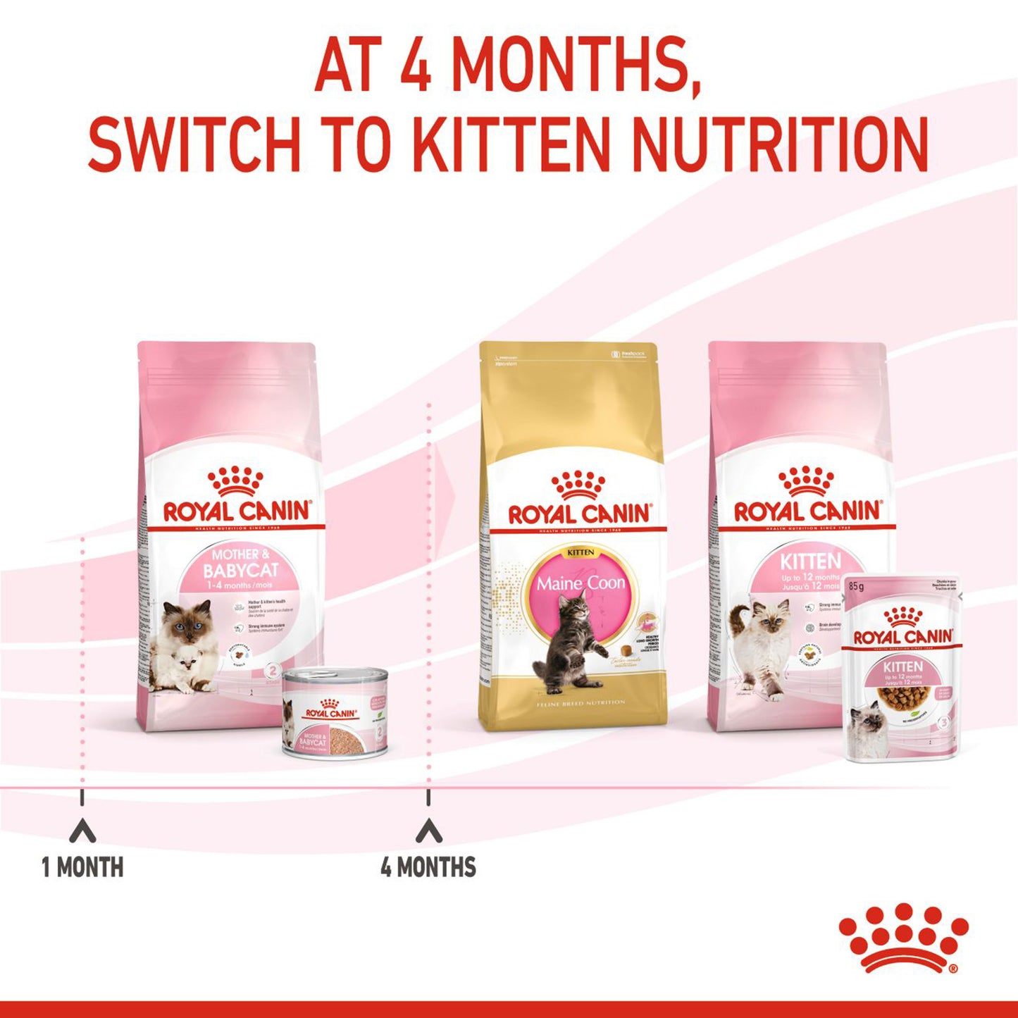Royal Canin Mother And Babycat Dry Cat Food - Heads Up For Tails