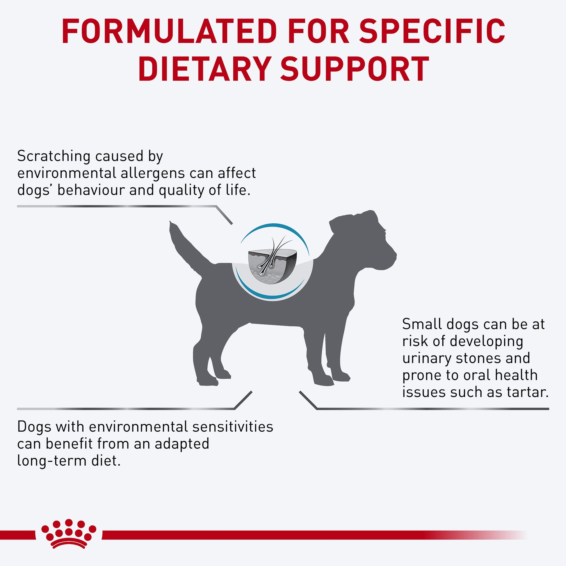 Royal Canin Veterinary Skintopic Dry Food For Small Dog - 4 kg - Heads Up For Tails