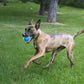 KONG Ultra SqueakAir Balls Toy For Dog - Yellow & Blue - M - 3 pcs - Heads Up For Tails