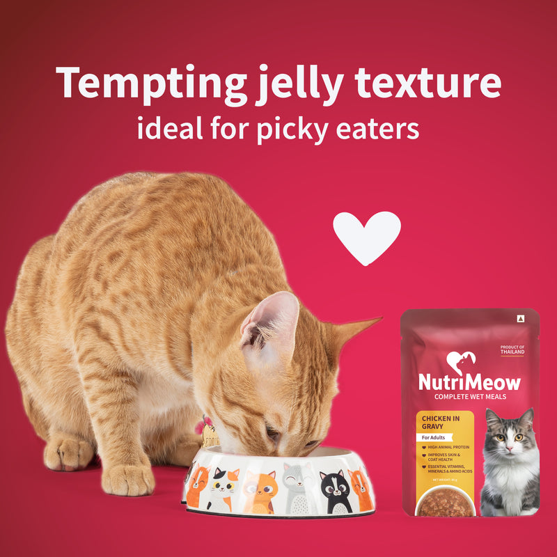 NutriMeow Chicken In Gravy Wet Food For Adult Cat - 80 gm - Heads Up For Tails