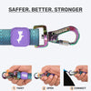 Dash Dog Trail Tails Waterproof Dog Collar & Leash Set - Blue - Heads Up For Tails