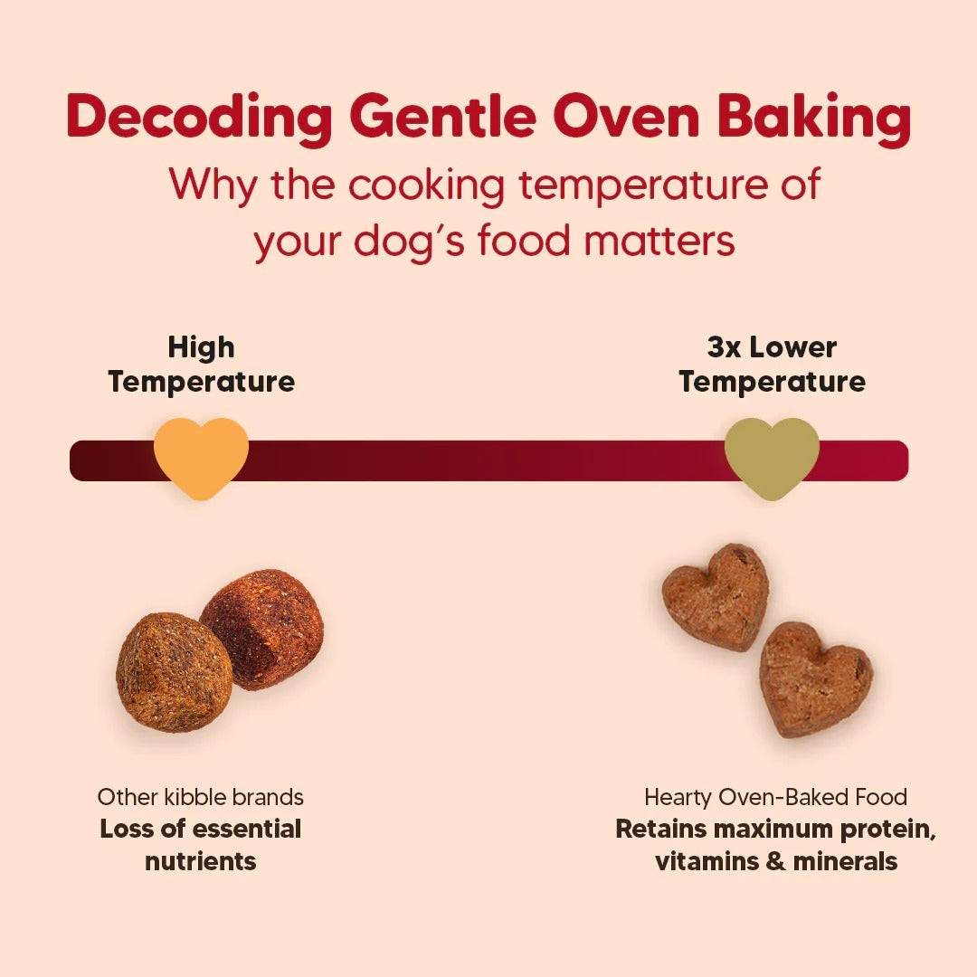 HUFT Hearty Oven-Baked Chicken & Duck With Brown Rice Adult Dog Dry Food - All Breed - 250 gm (Best Before May'26) - Heads Up For Tails