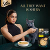 Sheba Soup With Chicken Wet Food For Cat - 40 gm x 4 pcs