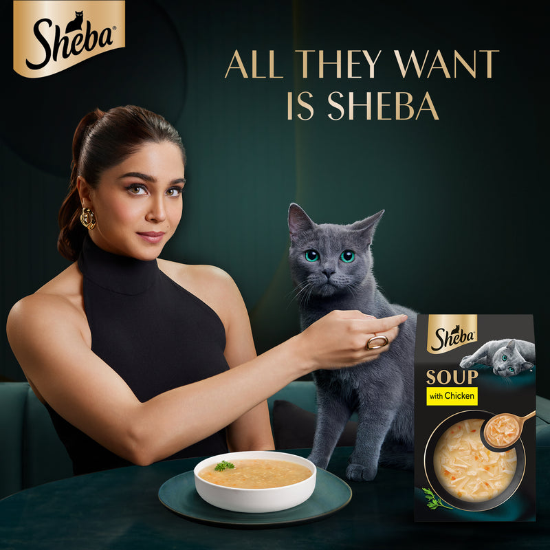 Sheba Soup With Chicken Wet Food For Cat - 40 gm x 4 pcs