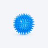 HUFT Spikester Ball Toy For Dog - Blue
