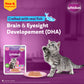 Whiskas Mackerel In Jelly Wet Food For Junior (2-12 Months) Kitten - 80 gm Pack - Heads Up For Tails
