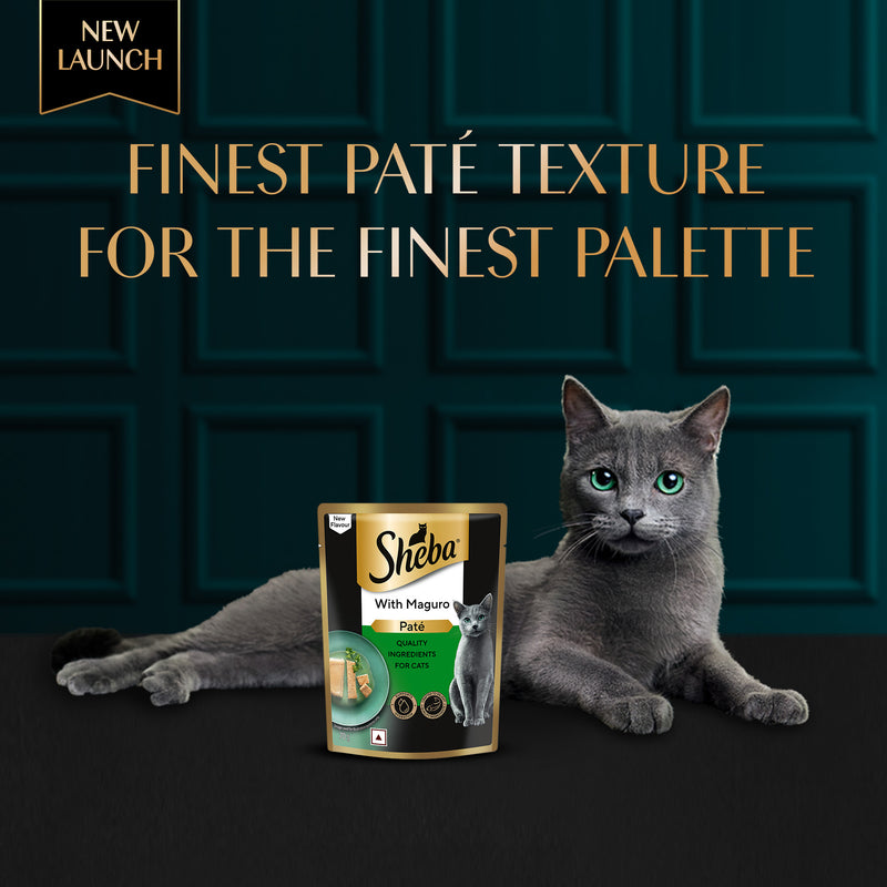 Sheba Maguro Pate Wet Food For Adult Cat - 70 gm - Heads Up For Tails