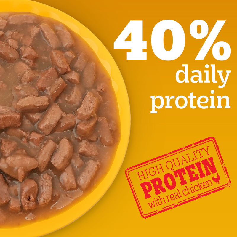 Pedigree Roasted Lamb Chunks In Gravy Adult Dog Wet Food - 130 g - Heads Up For Tails