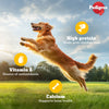 Pedigree Tasty Jerky Grilled Liver Treat For Adult Dog - 70 g - Heads Up For Tails