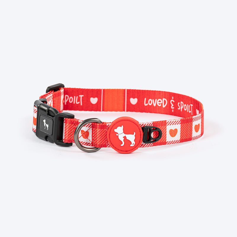 HUFT Berry Love Collar For Dog - Red