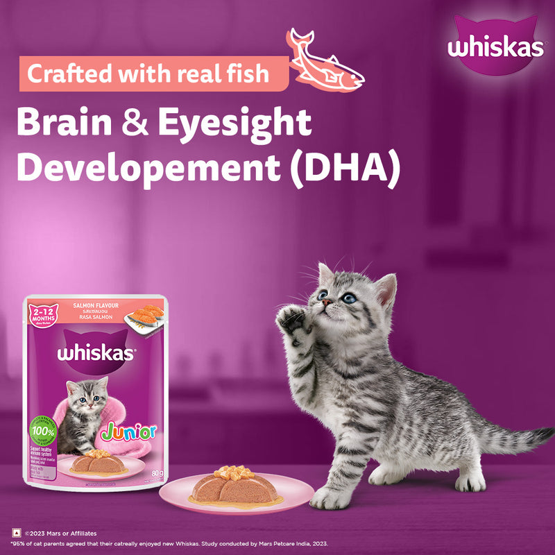 Whiskas Junior Kitten (2-12 Months) Salmon in Jelly Flavour Wet Cat Food - 80 gm Pack