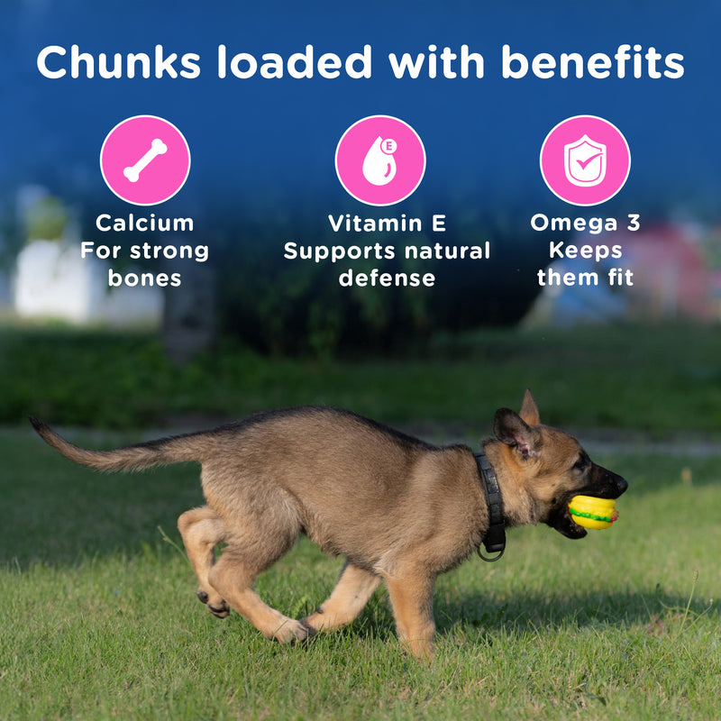 Chappi Chicken & Milk Dry Food For Puppy - Heads Up For Tails