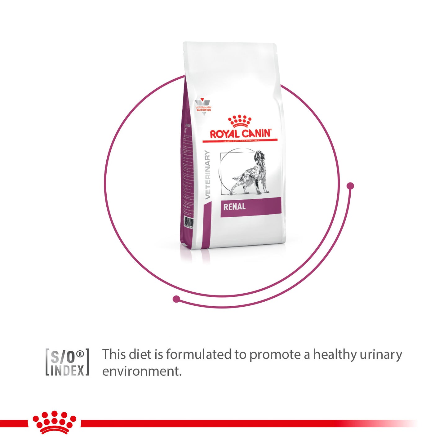 Royal Canin Veterinary Diet Renal Support Dry Food For Dog - 2 Kg - Heads Up For Tails