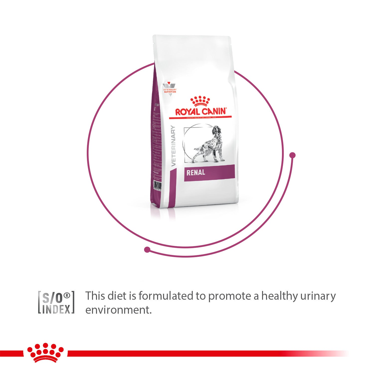 Royal Canin Veterinary Diet Renal Support Dry Food For Dog - 2 Kg - Heads Up For Tails