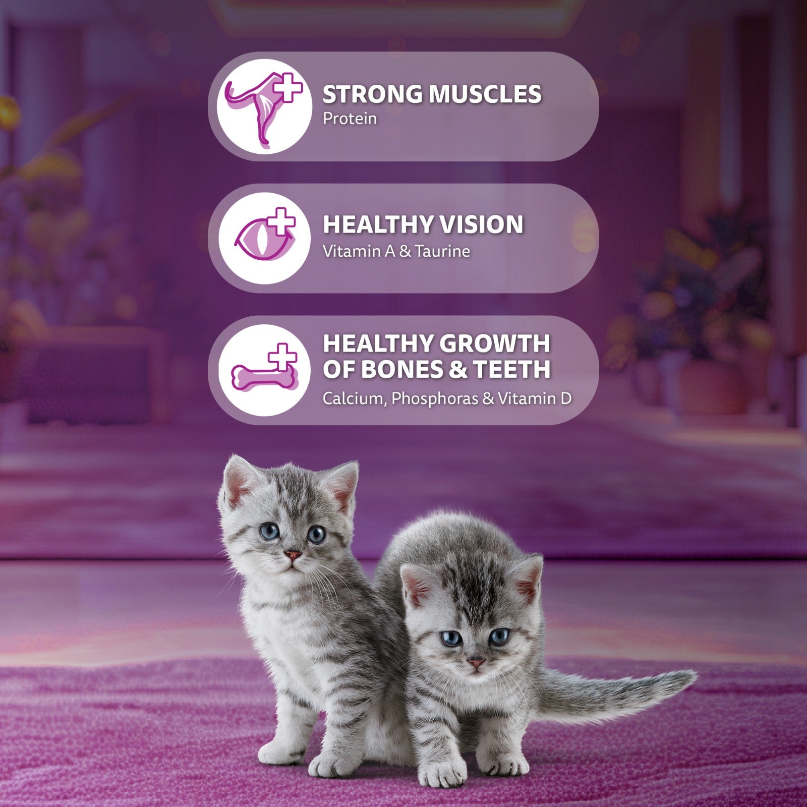 Whiskas Mackerel Flavour Dry Food For (2-12 Months) Kitten - Heads Up For Tails