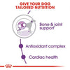 Royal Canin Giant Adult Dry Dog Food - Heads Up For Tails