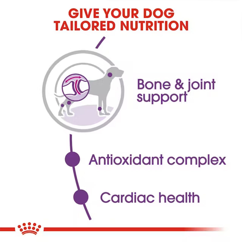 Royal Canin Giant Adult Dry Dog Food - Heads Up For Tails