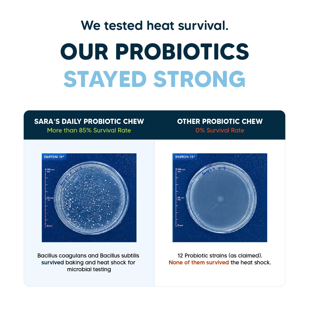 Sara’s Daily Probiotic Chews for Dogs : Total Gut Protection - 70 gm