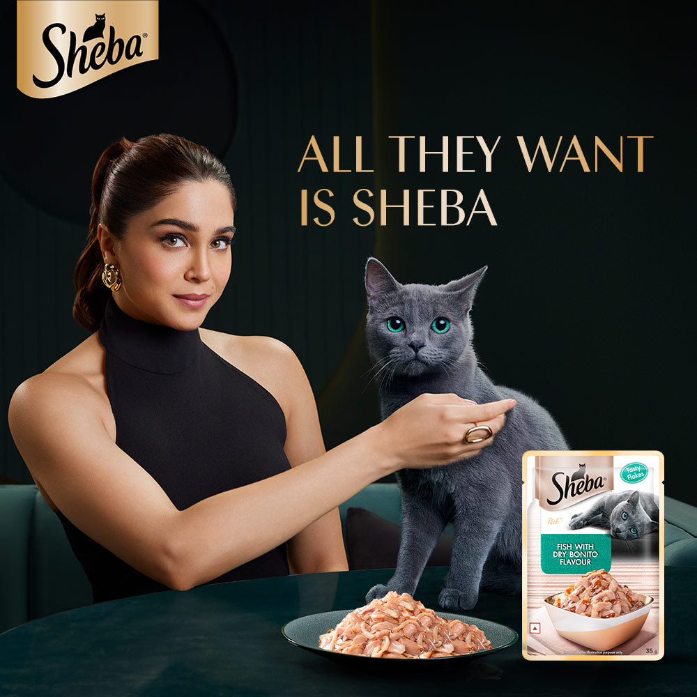 Sheba Rich Premium (1+ Years) Fish with Dry Bonito Flavour Adult Wet Cat Food - 35 g - Packs