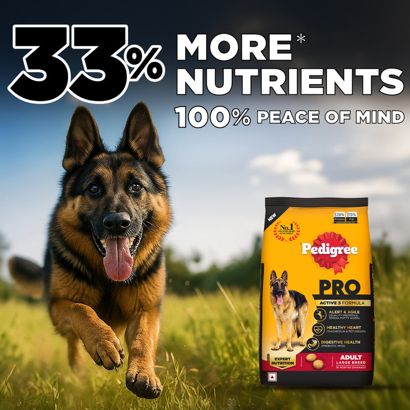 Pedigree PRO Expert Nutrition Active Adult Dry Dog Food - Heads Up For Tails