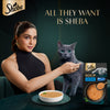 Sheba Soup With Tuna Wet Food For Cat - 40 gm x 4 pcs
