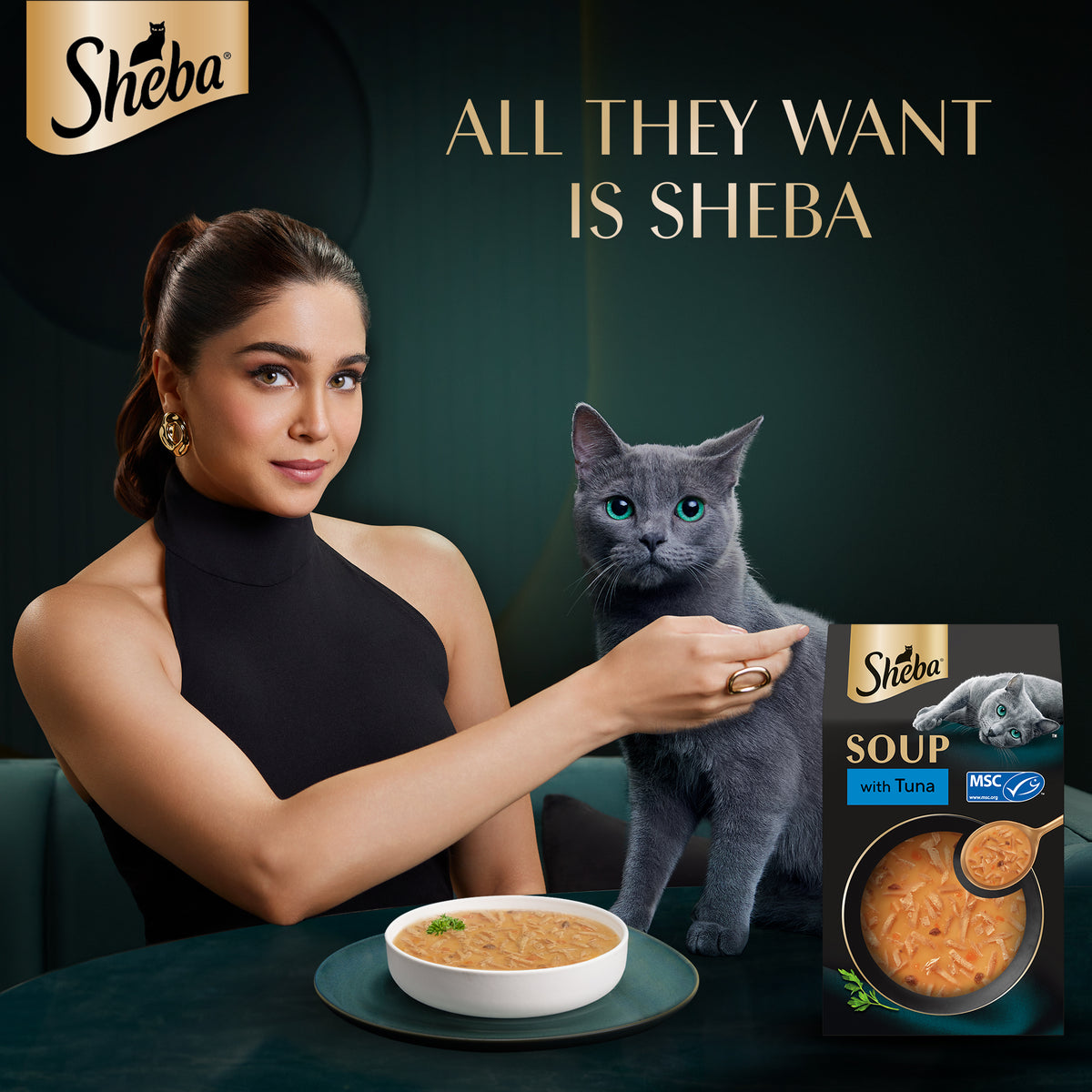 Sheba Soup With Tuna Wet Food For Cat - 40 gm x 4 pcs